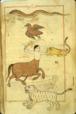 Folio 24b from Zakarīyā’ ibn Muḥammad al-Qazwīnī's Ajā’ib al-makhlūqāt wa-gharā’ib al-mawjūdāt (Marvels of Things Created and Miraculous Aspects of Things Existing) featuring five southern constellations (from the top): Hydra, Corvus, Centaurus with Lepus (usually a hare, but here a yellow long-tailed cat), and, at the bottom, Lupus (al-sab‘, a wild beast) shown as a pink tiger. The thin, brittle, lightly glossed, fibrous, yellow-brown paper has horizontal laid lines. The illustrations are set within frames of two red and one blue lines.