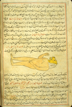 Folio 48b from Zakarīyā’ ibn Muḥammad al-Qazwīnī's Ajā’ib al-makhlūqāt wa-gharā’ib al-mawjūdāt (Marvels of Things Created and Miraculous Aspects of Things Existing) featuring a lion-headed humanoid laying prostrate in the middle of the text. The thin, brittle, lightly glossed, fibrous, yellow-brown paper has horizontal laid lines. The text is written in a small ta‘liq script using black ink, with headings and emphasized words in red and with some red overlinings. The text is set within frames of two red and one blue lines.