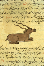 A fragment of folio 50a from Zakarīyā’ ibn Muḥammad al-Qazwīnī's Ajā’ib al-makhlūqāt wa-gharā’ib al-mawjūdāt (Marvels of Things Created and Miraculous Aspects of Things Existing) featuring an oryx-like creature with small tusks. The thin, brittle, lightly glossed, fibrous, yellow-brown paper has horizontal laid lines.