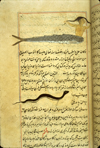 Folio 106a from Zakarīyā’ ibn Muḥammad al-Qazwīnī's ‘Ajā’ib al-makhlūqāt wa-gharā’ib al-mawjūdāt (Marvels of Things Created and Miraculous Aspects of Things Existing), featuring a female with long hair behind a very long fish, and, below, a snake drawn using opaque watercolors and ink in the middle of the text. The thin, light-brown, lightly glossed paper has vertical laid lines. The text is written in a careful medium-small nasta‘liq script, in black ink with headings in red. The text is enclosed in frames formed of one blue and two red thin lines.