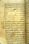 Folio 115a from Zakarīyā’ ibn Muḥammad al-Qazwīnī's ‘Ajā’ib al-makhlūqāt wa-gharā’ib al-mawjūdāt (Marvels of Things Created and Miraculous Aspects of Things Existing), featuring a white horse drawn using opaque watercolors and ink in the middle of the text. The thin, light-brown, lightly glossed paper has vertical laid lines. The text is written in a careful medium-small nasta‘liq script, in black ink with headings in red. The text is enclosed in frames formed of one blue and two red thin lines. There is a note in the left margin.