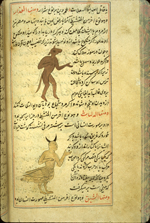 Folio 323b from Zakarīyā’ ibn Muḥammad al-Qazwīnī's ‘Ajā’ib al-makhlūqāt wa-gharā’ib al-mawjūdāt (Marvels of Things Created and Miraculous Aspects of Things Existing), featuring an animal-headed demon labeled al-ghidar ('the liar, the perfidious'), and a horned harpy drawn using opaque watercolors and ink in the middle of the text. The thin, light-brown, lightly glossed paper has vertical laid lines. The text is written in a careful medium-small nasta‘liq script, in black ink with headings in red. The text is enclosed in frames formed of one blue and two red thin lines.