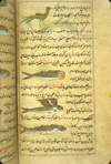 Folio 93b from Zakarīyā’ ibn Muḥammad al-Qazwīnī's ‘Ajā’ib al-makhlūqāt wa-gharā’ib al-mawjūdāt (Marvels of Things Created and Miraculous Aspects of Things Existing), featuring four mythical creatures: A long-tailed green bird, a human-headed fish, a flying fish, and a large fish drawn using opaque watercolors and ink in the middle of the text. The thin, light-brown, lightly glossed paper has vertical laid lines. The text is written in a careful medium-small nasta‘liq script, in black ink with headings in red. The text is enclosed in frames formed of one blue and two red thin lines.