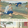 The pictures of men working in the fields and one image has a man with itches in his hand at the top, another with stomach pain and one who is tired at the bottom of the poster