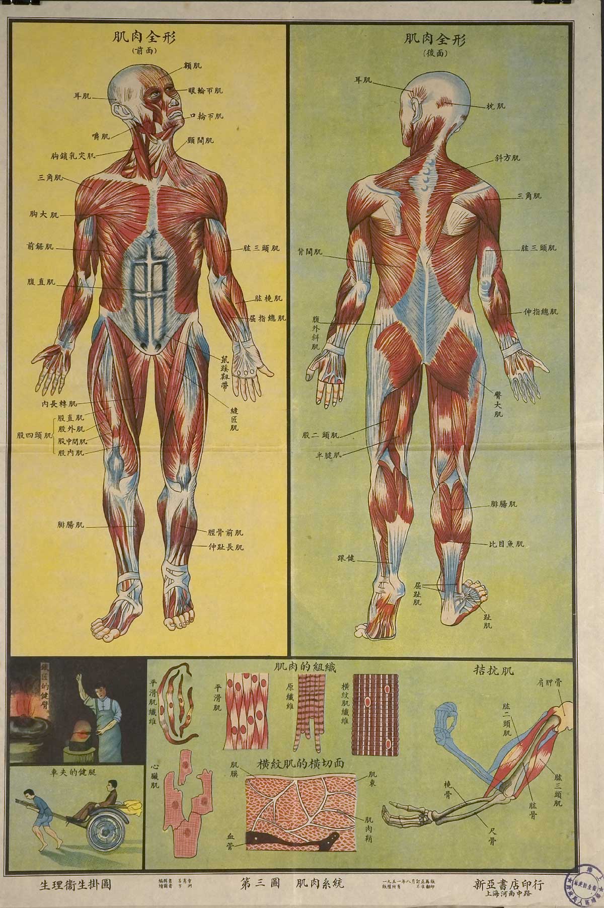 Chinese Public Health Posters: Understanding Human Body