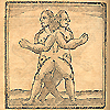 Eighteenth century woodcut illustration of female conjoined twins joined at the back.