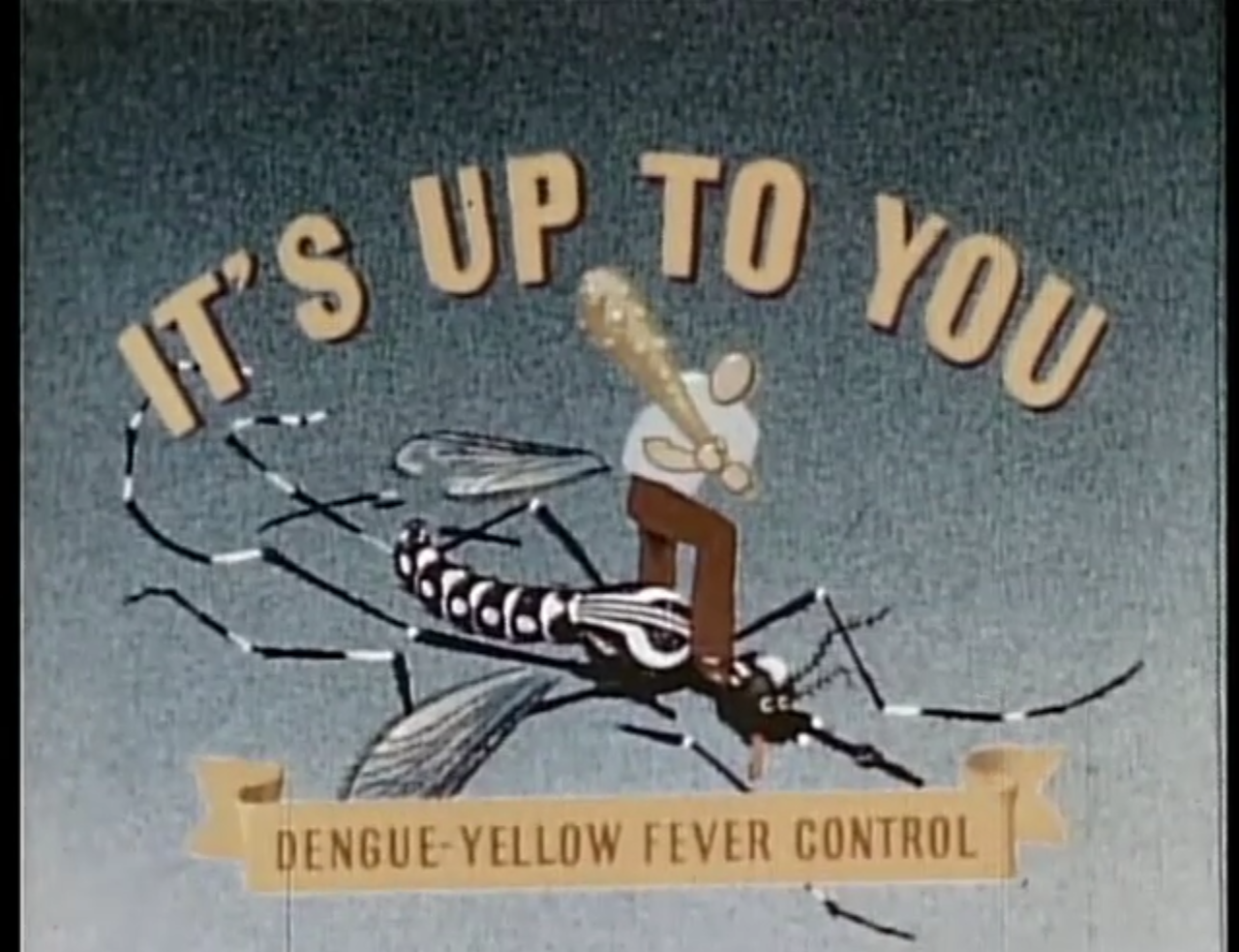 Video thumbnail for It's Up to You: Dengue-Yellow Fever Control