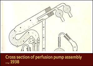 Labeled blueprint of a tall, narrow instrument with curved, cylindrical pipes and valves.