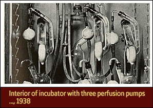Three tall, narrow, glass instruments with curved pipes and valves connected inside metal box.