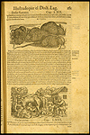 Illustrated page from Dioscorides’ Acerca de la materia medicinal, y de los venenos mortiferos. (Salamanca: Mathias Gast, 1566).  At the top of the page is a woodcut illustration of seven black rats huddled together; at the bottom is a woodcut illustration of a farm scene with a soman milking a cow on the left and a man churning butter on the right with two dogs and other livestock and a house in the background.  NLM Call number WZ 240 D594dmS 1566.