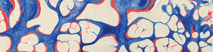 Red and blue detail view of the brain