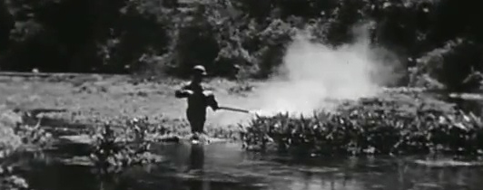A person standing in a swamp spraying a substance onto the plants.