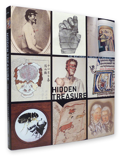 Illustrated cover of the Hidden Treasure book.