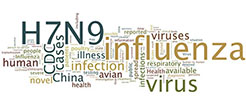 A word cloud related to H7N9 and Influenza.
