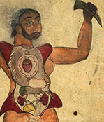 Anatomical illustration of a warrior showing internal organs.
