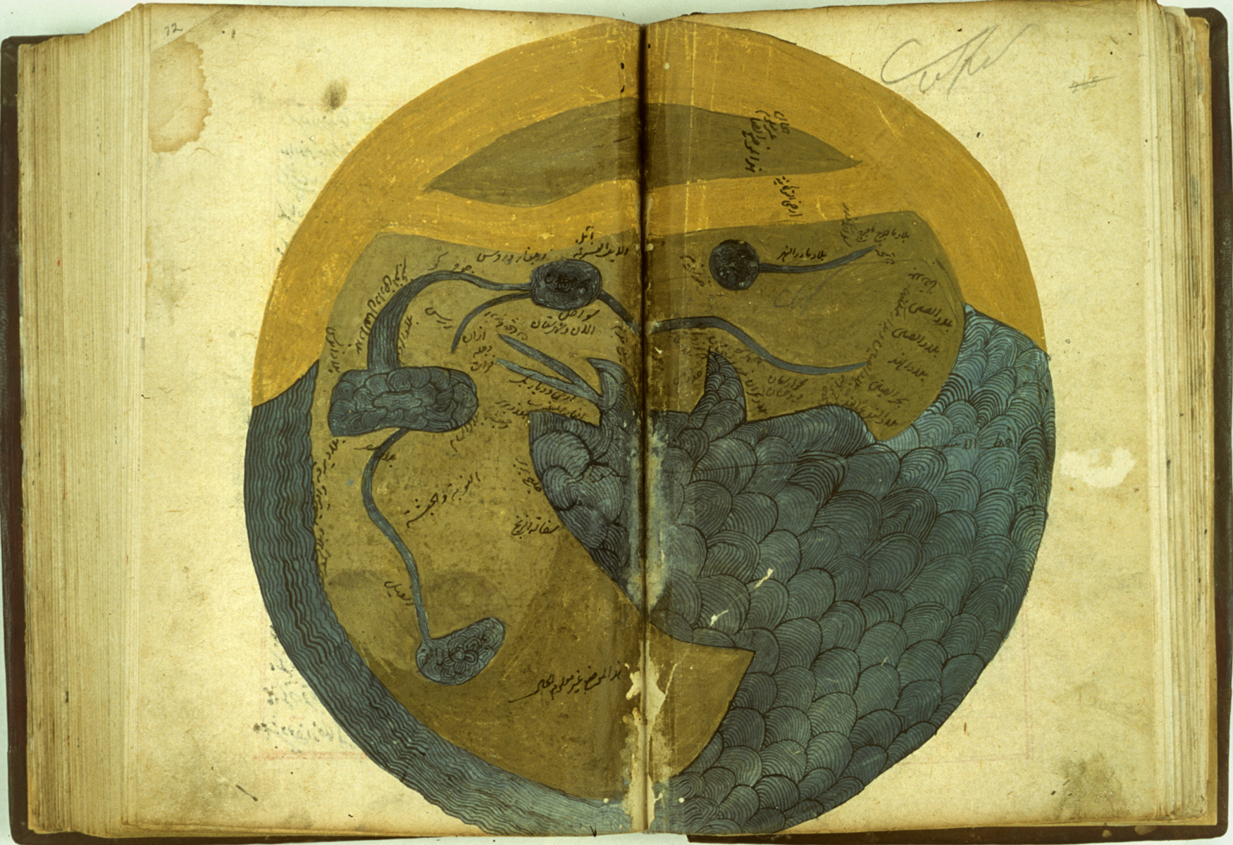 A map in an Islamic Medical Manuscript