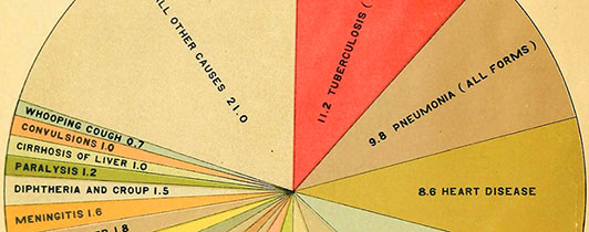 A pie chart showing rates of mortality for different causes for 1907; Tuberculosis ranks first at 21%.
