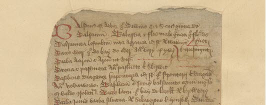 A left hand manuscript page with irregular edges and red ink highlights.