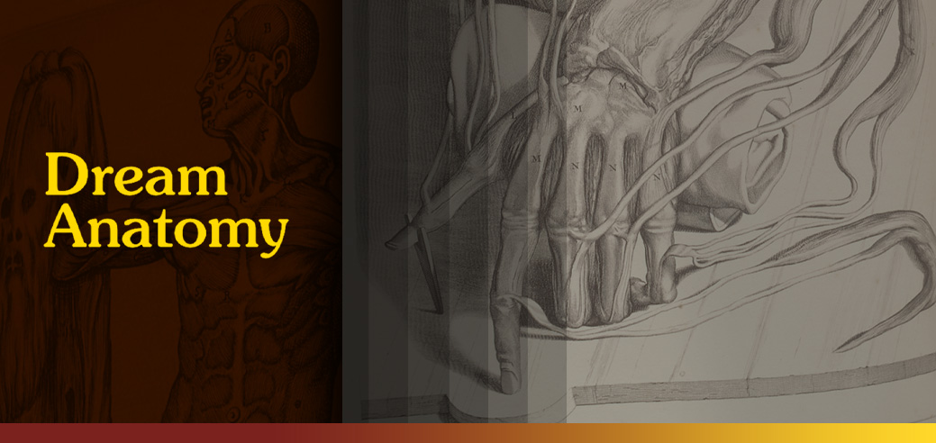 Exhibition logo and an anatomical drawing of a skeletal hand pointing