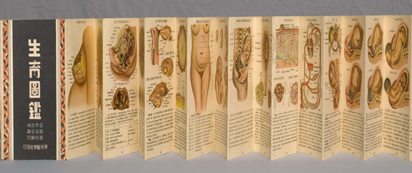 Full view of a fold-out booklet featuring views of the cover and open pages with text and illustrations