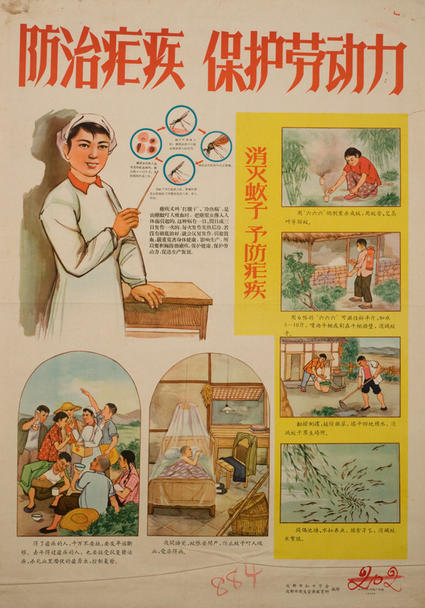 Poster with title on top, a series of images, and text