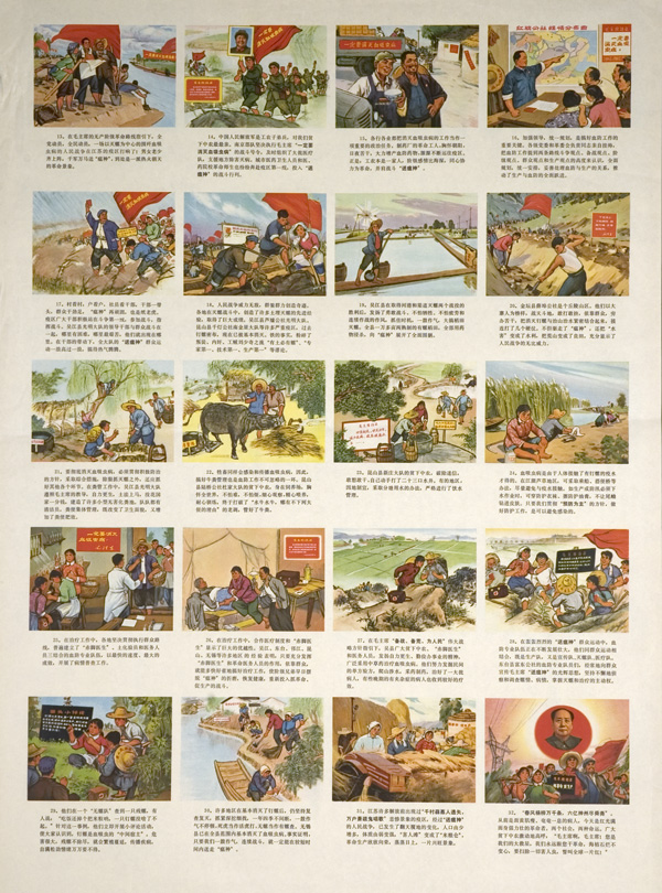 Poster with 5 horizontal panels of images and text