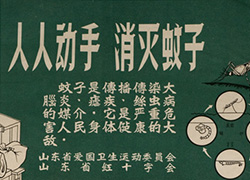 Poster with green and white images and text