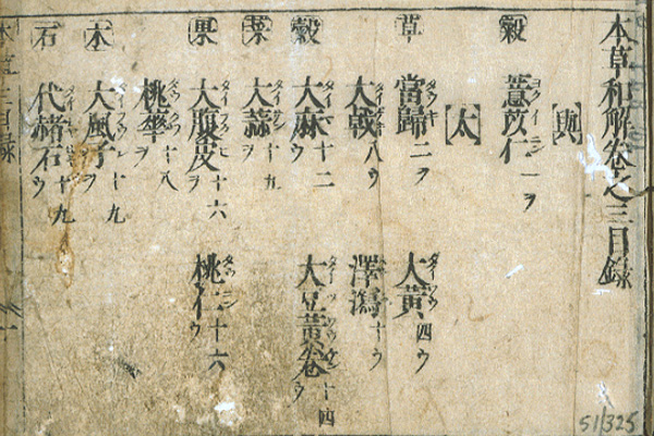 Page opening of a book with Japanese text and drawings