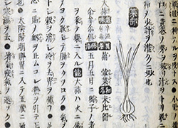 Page opening of a book with Japanese text and drawings