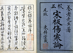 Page opening of a book with Chinese characters on blue and white pages