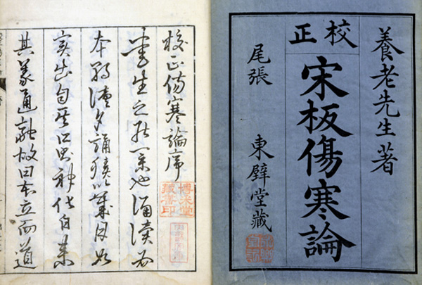 Page opening of a book with Chinese characters on blue and white pages