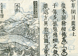 Page of a book with Chinese characters and illustrations