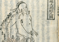 Page of a book with Chinese characters and an illustration of the human body