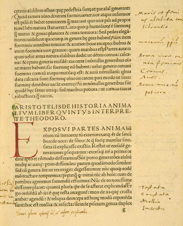Page of text with manuscript initial letter 'E' in red ink
