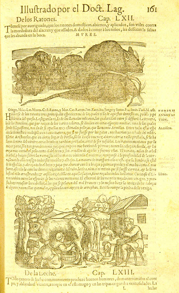 At the top of the page is a woodcut illustration of seven black rats huddled together; at the bottom is a woodcut illustration of a farm scene with a soman milking a cow on the left and a man churning butter on the right with two dogs and other livestock and a house in the background.