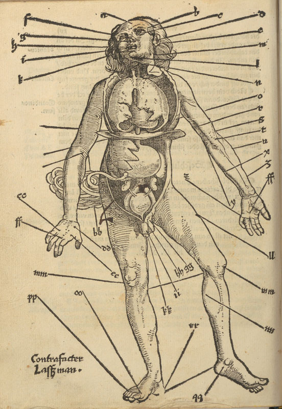 Woodcut chart showing a man facing forward with torso and chest open to show internal organs 48 lines labeling pointing points on the body for bloodletting.