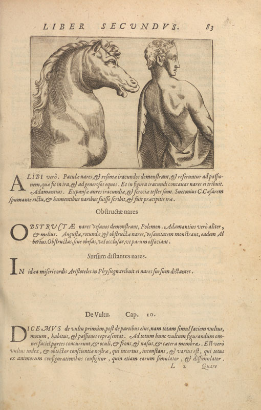 Copperplate engraved illustration of a man and a horse in profile, each facing right, with the man wearing a toga.