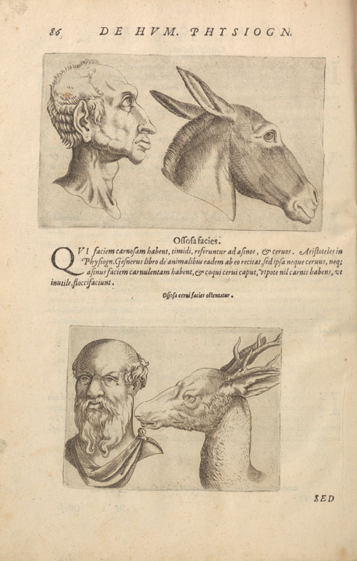 Copperplate engraved illustrations showing a man and a donkey in profile, and a man and a deer in profile.