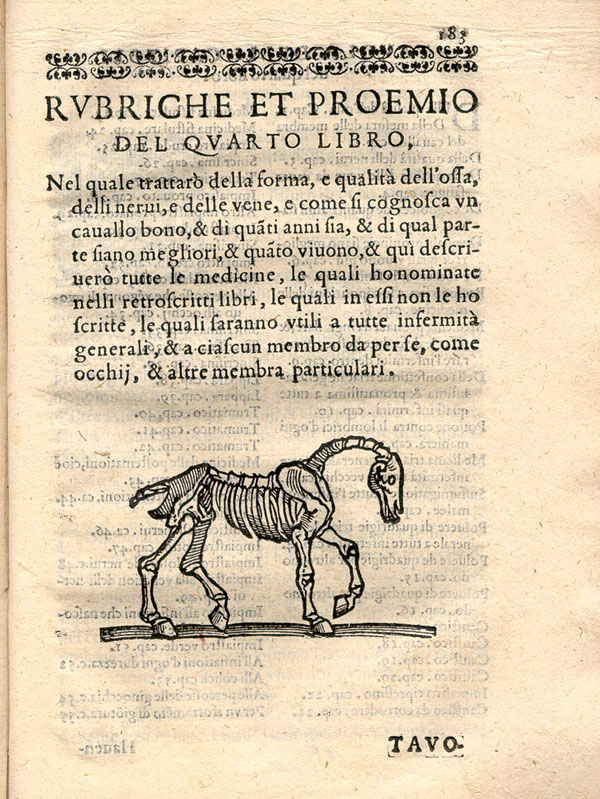 Woodcut illustration of a horse skeleton facing right with text above in Italian