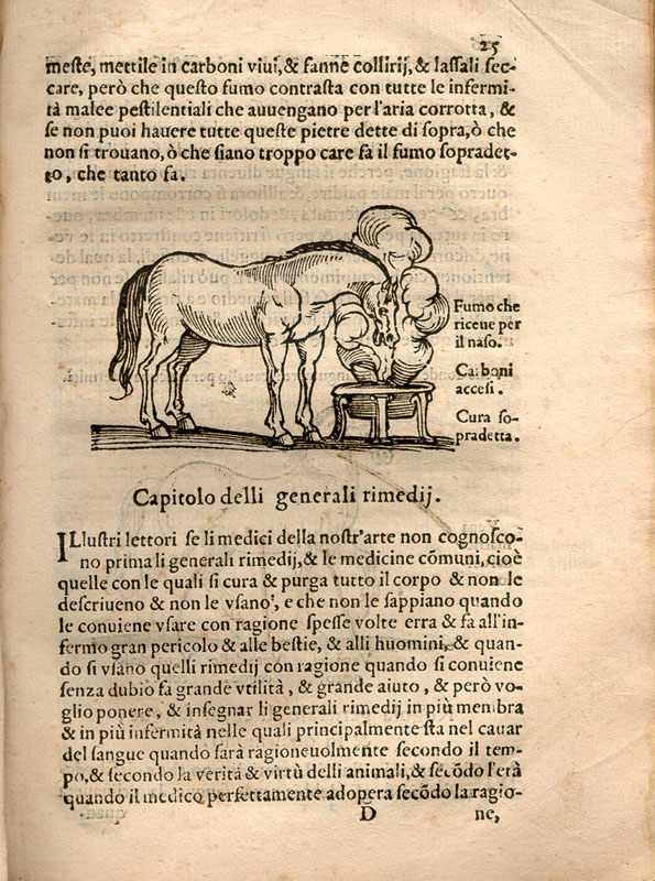 Woodcut illustration set in the text showing a horse facing right inhaling a medicated vapor from an urn.