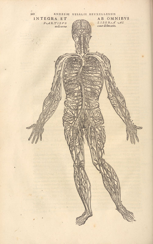 Woodcut human figure outline arms outstretched showing the branching pattern of the circulatory system.