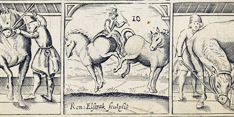 Three Illustrations of people working with horses.