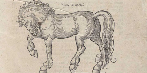 Title page with large woodcut of horse facing left with uplifted right foot.