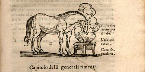 Woodcut illustration set in the text showing a horse facing right inhaling a medicated vapor from an urn.