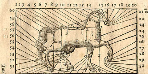 Open book showing on left a disease horse chart with lines leading from different parts of the horse’s body to numbers indexed on the facing text page
