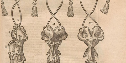 Woodcut of three sets of horse neck vertebrae, tied together decoratively with tasseled cords as though hanging.