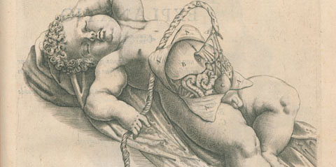 Copperplate engraved illustration of a newborn human baby lying on its back with umbilical cord attached to large placenta.
