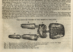 Page 14 of a pamphlet, detailing a section of trial transcript and an engraving of the remains found in the medical college which consisted of the torso and partial legs of a body.