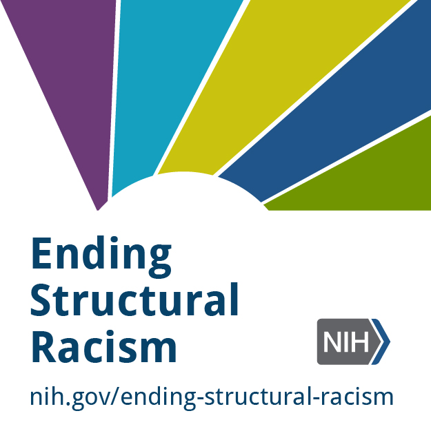 Ending Structural Racism badge