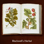 Turning the Pages: Blackwell's Herbal